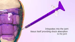 Arthramid Vet mechanism of action [upl. by Eirollam]