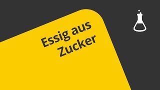 Zur Herstellung von Essig aus Zucker  Chemie  Organische Chemie [upl. by Carlene]