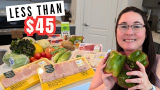 Budget Grocery Haul Gluten amp Lactose Free [upl. by Anaerb]