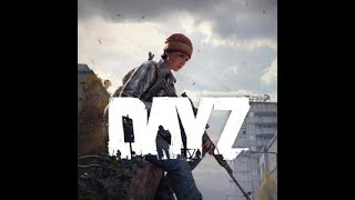 RearmeD DayZ Red key in tisy [upl. by Areik]