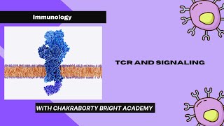 TCR and Signaling [upl. by Singleton]