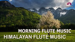 Morning Flute Music  Himalayan Flute Music  Solo flute Music  बाँसुरी Aparmita Ep 136 [upl. by Tawsha306]