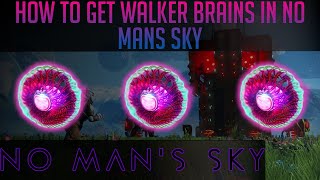 Die 8 besten Wege NanitHaufen zu farmen Guide  No Mans Sky Synthesis DeutschGerman [upl. by Llenrad]