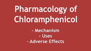 Pharmacology of Chloramphenicol  Mechanism Uses amp Adverse Effects ENGLISH  Dr Shikha Parmar [upl. by Liscomb258]