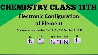 Electronic configuration class 11amp 12th Basic in simple way [upl. by Lleznod]