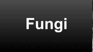 How To Pronounce Fungi American English [upl. by Solnit613]