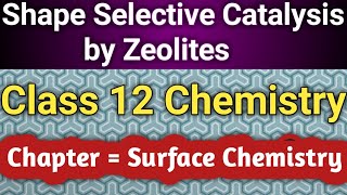 SHAPE SELECTIVE CATALYSIS BY ZEOLITES IN  HINDI   Class 12 Chemistry [upl. by Aivatan]