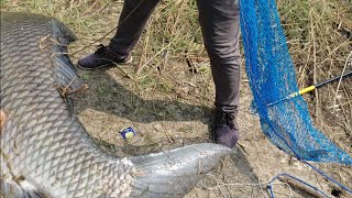 🎣catching big catla fishes Singh shikar fishing in manjeera river [upl. by Hpeosj]