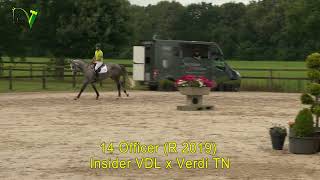 Sportpaardenveiling Dronten  14  Officer G  Insider VDL x Verdi [upl. by Mcevoy445]