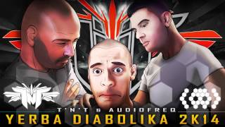 TNT amp AUDIOFREQ quotYERBA DIABOLIKA 2K14quot official preview [upl. by Inohs]