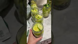 Person is making zucchini pickles with a huge Tromboncino Zucchini [upl. by Iona]