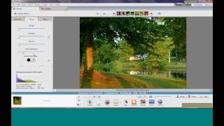 Picasa Basics Webinar [upl. by Alyal]