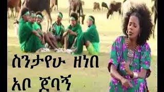 Sintayehu Zenebe ስንታየሁ ዘነበ  Abo Jebagn አቦ ጀባኝ New Hot Ethiopian Traditional Music [upl. by Fillander272]