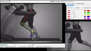 Quintic Intelligent Tracking  Quintic Biomechanics v29 [upl. by Rosner]