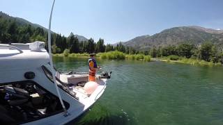 Wallowa Lake Monster Trout [upl. by Czarra284]