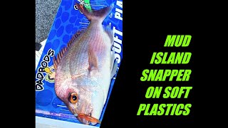 HOW I TARGET SNAPPER ON SOFT PLASTICS IN SHALLOW WATER MUD ISLAND MORETON BAY [upl. by Cyrill292]