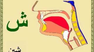 Learn Quran with rules of tajweed pronunciation free [upl. by Yesnik]