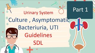 Culture  Asymptomatic Bacteriuria  UTI Guidelines  Part 1 [upl. by Ardnac]