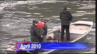 Sea lion hazing to begin at Willamette Falls [upl. by Agnot]