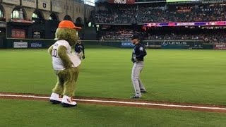 MLB Mascots Messing With Players [upl. by Marquis641]