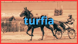 Pronostic Quinté jeudi 18 janvier 2024 pmu turf prix Vincennes Prixded’ebray [upl. by Dry]