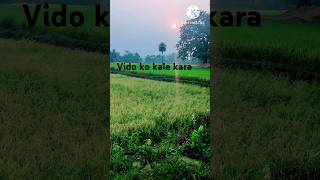 Video ka like kara [upl. by Nylg268]