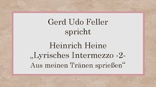 Heinrich Heine „Lyrisches Intermezzo – 2  Aus meinen Tränen sprießen“ [upl. by Anayd285]