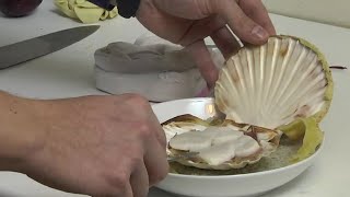 Les Coquilles St Jacques à lEtouffée de Ludovic [upl. by Amairam]