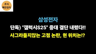 삼성전자 단독 quot갤럭시S25quot 중대 결단 내렸다 사그라들지않는 고점 논란 현 위치는 [upl. by Auqenat991]