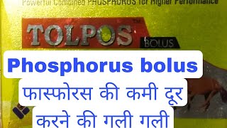 फास्फोरस की कमी दूर करने की गोली  Phosphorus bolus  गए भैंस को उठने बैठने में दिक्कत हो तो गली [upl. by Raknahs]