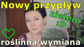 💚 Przypływ hoyi i innych zielonych cudów 💚 roślinna wymianka z Agatą 💚 Nowa paczka 💚 nowe rośliny 💚 [upl. by Saerdna816]