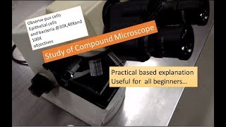 Study of compound microscope Practical based explanation Microbiology [upl. by Amhser944]