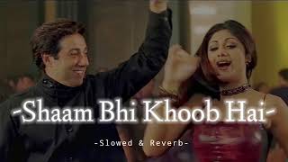 Shaam Bhi Khoob Hai  Slowed amp Reverb  Alka Yagnik  Kumar Sanu  Udit Narayan [upl. by Nosnorb]