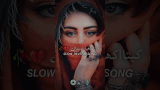 Kita Akhian Sawal  Slowed amp Reverb Song Naseebo Lal Song song slowedandreverb [upl. by Cul]