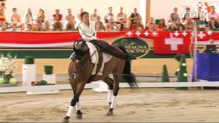 FEI European Vaulting Championship 2013  Junior Male 3rd Adam Lukac [upl. by Akinhoj]