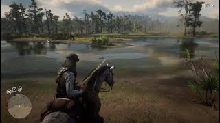 OBJETOS EXOTICOS RDR2 Localización Garceta Rojiza Pequeña y Blanca [upl. by Alaj230]