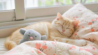 Music for Cats to Fall Into Deep Sleep  Sleeping Music for Nervous Cats with Cat purring sounds [upl. by Althee]