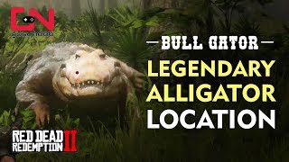 Red Dead Redemption 2  Legendary Alligator Location  Bull Gator [upl. by Eniarrol]