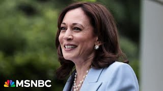 ‘She wants a bulldog’ VP Kamala Harris set to choose running mate from rising Democrat stars [upl. by Lorelie]