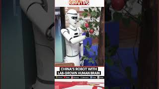 Gravitas Chinese scientists develop robot with labgrown human brain  Gravitas Shorts [upl. by Haakon467]