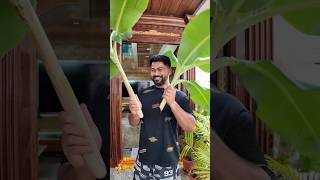 Amma ఇంట్లో వరలక్ష్మి వ్రతం Preparations🌸With Darshan✨Mini VlogPart2 shorts ashortaday viral [upl. by Suirtimid729]