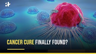 Cancer Cure Finally Found [upl. by Ecargyram897]