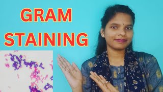 GRAM STAINING FULL DETAILS IN BENGALI  GRAM STAIN PROCEDURE gramstaining [upl. by Arahsak741]