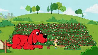 Clifford The Big Red Dog  The Berry Basket [upl. by Jenkins]