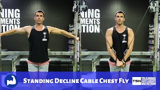 Standing Decline Cable Chest Fly [upl. by Abell]