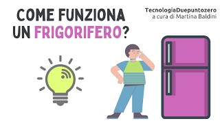 Come funziona un frigorifero [upl. by Light]