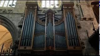 Selby Abbey Bishop of Selby Farewell Service Sunday 14 July 2024 [upl. by Irmgard]