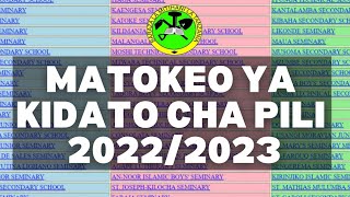 TAZAMA MATOKEO YA KIDATO CHA PILI 2022FORM TWO RESULTS NECTA 202223 [upl. by Sibley]