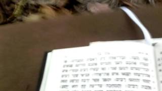 New Testament in Biblical Hebrew [upl. by Imray132]