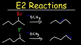 E2 Reaction Mechanism  Hoffman Elimination vs Zaitsevs Rule [upl. by Salman]